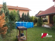 DSCN8486