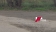 IMG-20251013-WA0051